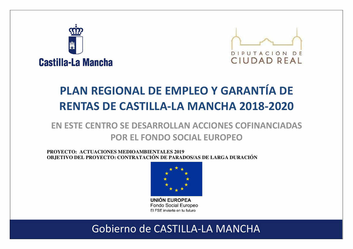 Plan Regional de Empleo JCCM 2020